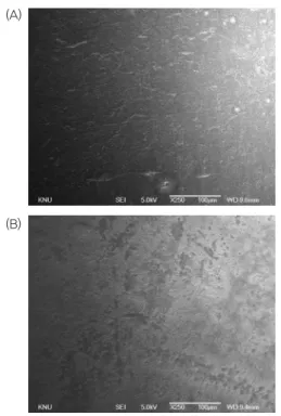 Figure 10. SEM images show zirconia surface  textures(2000x). (A) No etching zirconia group.