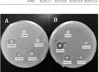 Fig. 1. Clearning zone formed around paper discs of  ginseng extracts on s.mutans after cultivating 24 hours