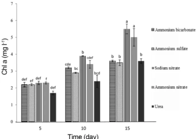 Fig. 2. Effects of different forms nitrogen supplementation of the culture medium on the chlorophyll a contents   Nan-nochloropsis oceanica