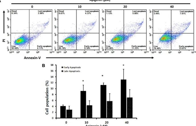 Fig. 4. Effect of apigenin on cell apoptosis in MDA-MB-231. MDA-MB-231 cells were plated in 6-well bottom plate with a density of 5 × 10 5  cells per well and cultured with or without apigenin (0, 10, 20, and 40  µM) for 24 h
