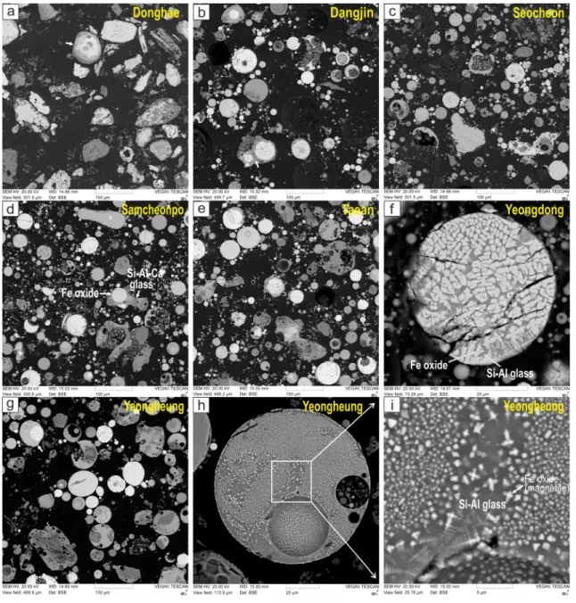 Fig. 5. Back-scattered electron images of the polished sections of the magnetic fractions of Korean fly ash  samples from thermal power plants