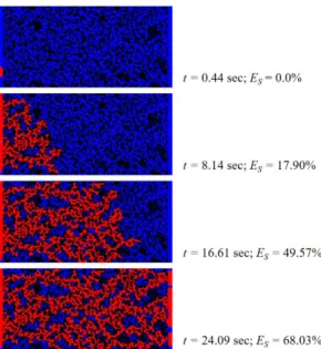 Fig. 5. Sequential images that n-hexane (red) was displacing deionized water (blue) in a pore network (Experimental conditions: 0.1 MPa, 25 o C and 0.01 mL/min).
