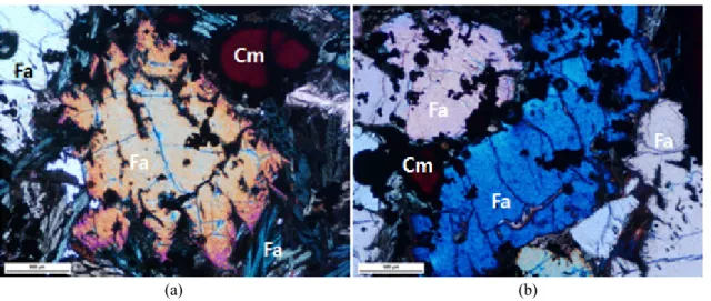 Fig. 1. The plane-polarized (a and b) light photomicrogrphs of salg from Kazakhstan. Cm: chromite, Fa: 