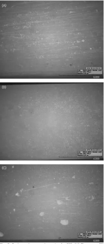 Fig. 5. Surface of composite resins (x 120). (A) FL group. (B)  PLP group. (C) PL group