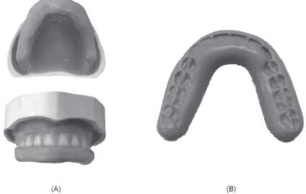 Fig. 3. Study model