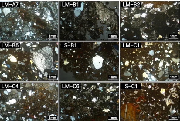 Fig. 7. Representative polarizing microphotographs of analyzed samples. Sample numbers are the same as those of Table 1.