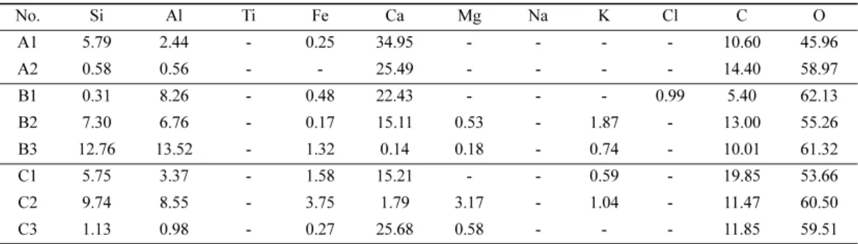 Fig. 8. Scanning electron microphotographs and energy dispersive spectrum of analyzed samples