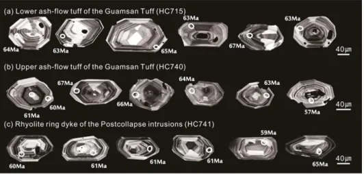 Fig. 3. Correlation diagram showing the proportions of Th to U concentrations (ppm) of the zircons analyzed by SHRIMP.