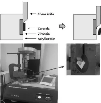 Fig. 6.  The photo of sintered specimens after embedding  in epoxy resin.