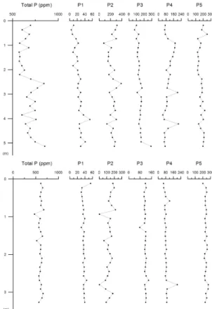 Fig. 4. Vertical distribution of total P concentration  (ppm) and P species for core samples from Uleung  Basin (top) and Hupo Basin (bottom) with depth (P1
