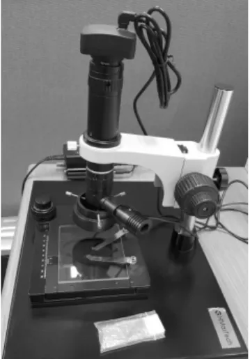 Fig 3. The surface state of the stone created in the way of vacuum mixing at normal mixing ratio