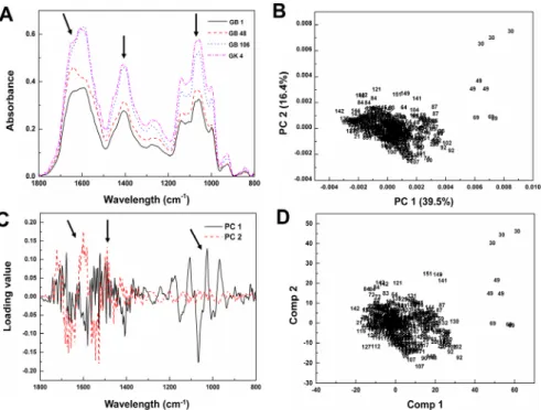 Fig. 2 Multivariate analysis of FT-IR spectral data from 20% methanol extract from seeds of soybean lines