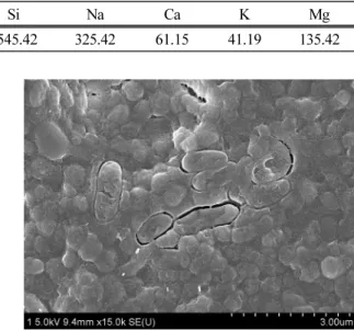 Table 2. Chemical composition of the mine-waste rock sample with aqua regia digestion (mg/L)