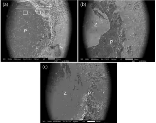 Figure 3. SEM images show fracture pattern after shear bond strength test (× 25). 