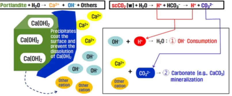 Fig. 2. Two mechanisms ( ①  and  ② ) to lower pH of extracted solution from the recycled aggregate by the scCO 2  treatment.