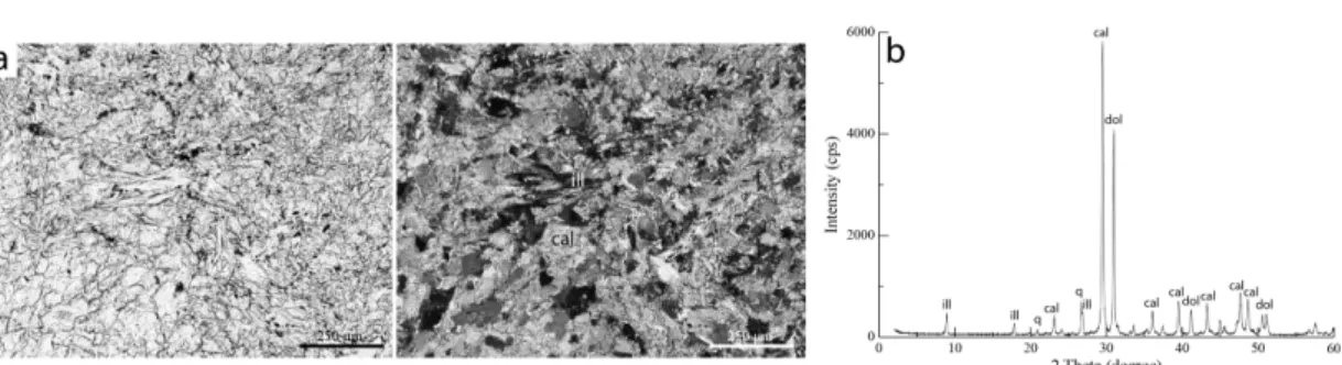 Fig. 9. Distribution of metal elements and microscopic occurrences of sulfides in the Daegi Formation