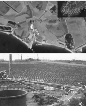 Fig. 1. (a) Location of study area and (b) observation wells, W1 and W2, and pumping wells, P1 and P2.