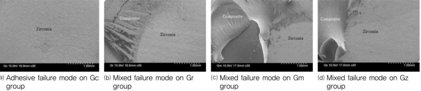 Fig. 3. SEM images of failure modes