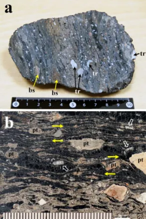 Fig. 3.  Slab specimens of obsidian mixed with rock fragments in the Gombawi welded tuff