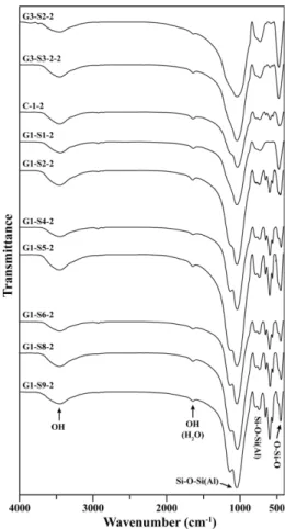 Fig. 8. SEM microphotographs of representative obsidians.