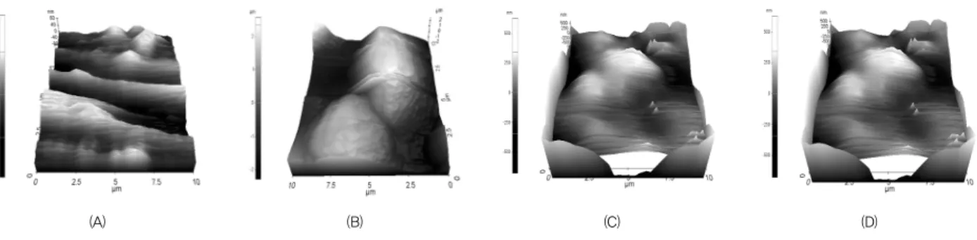 Fig. 7. AFM(Atomic Force Microscope) images of the surface roughness