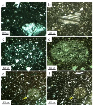 Fig. 2. Polarizing microscope images of the  potshreds. (a) Cracked quartz with rounded rim