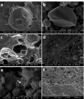 Fig. 5. Morphological features and indicative  minerals of the potshreds. (a) Partial melted quartz