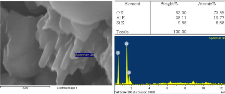 Fig. 6. Growth of the mullite laths in the potsherd sample (CG3) with their composition.