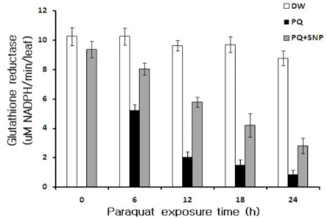 Fig. 5 Effect of 100 μM SNP pretreatment on the changes of  ascorbate peroxidase activities in detached chinese cabbage leaves.