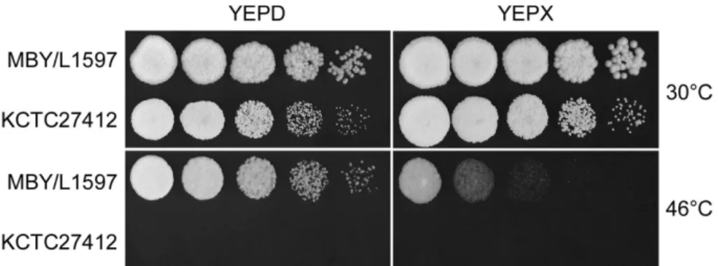 Fig. 3. Xylose reductase activities of  M. farinosa KCTC27412 ( ■ ) and MBE/L1597 ( □ )