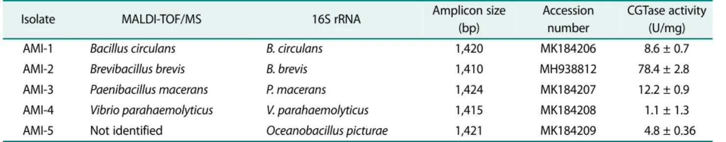 Table 2. Identification and characterization of CGTase-producing bacteria.