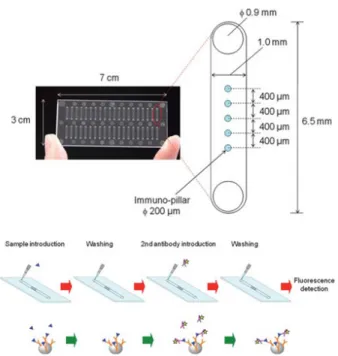 Fig. 1 Photograph and schematic flow chart of the microchip  illustrating the assay procedure (Ikami, 2010)