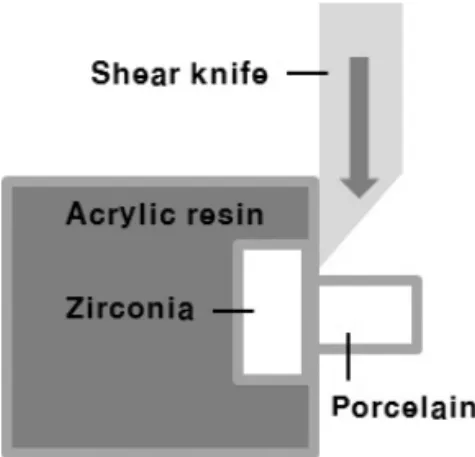 Fig. 1. Schematic diagram of shear bond strength test on UTM.