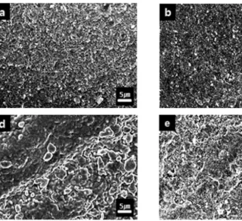 Fig. 2. FE-SEM images for each zirconia blocks(×