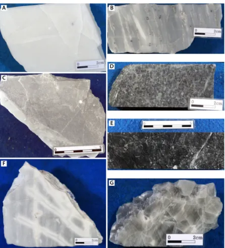 Fig. 3. Photographs showing different color of the carbonate rocks. A. white; B, light grey; C, light brown; D, grey (ooid texture); E, dark black; F, partly altered limestone along micro-cracks; G, mega-crystalline calcite.