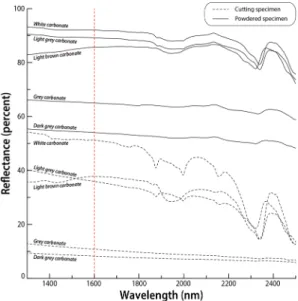 Fig. 6. Reference spectra for different color of the selected carbonate rocks. 