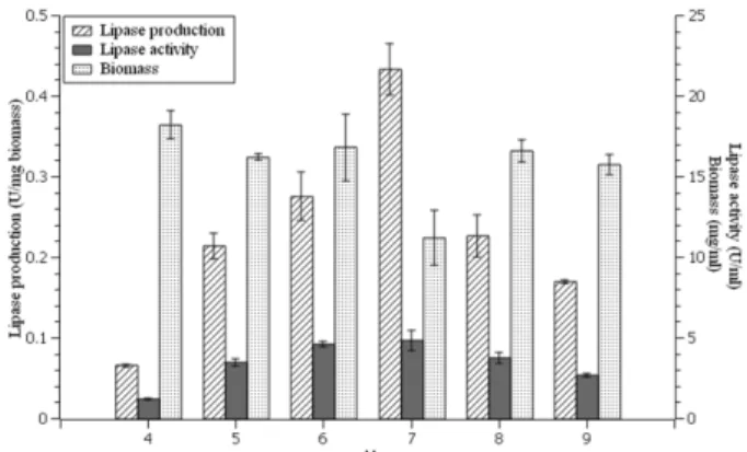 Fig. 4. Lipase activity, biomass, and lipase production of Ms.11 at different pH using medium containing olive oil 1%