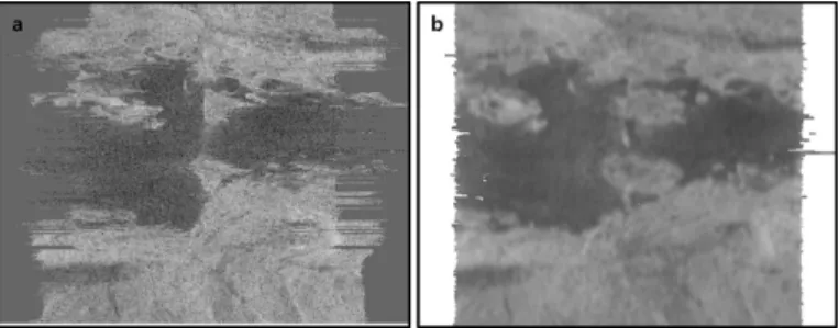 Fig. 2. (a) Acoustic backscatter mosaic of the observed data before geometric correction