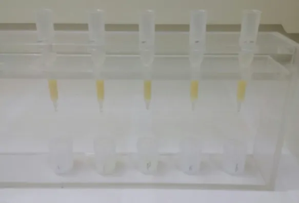 Fig. 1. Photograph of ion exchange chromatography column using column tube (BioRad PolyPrep R  column, 10 ml) and anion exchange resin (BioRad Resin AG R  1-X8, 200 − 400 mesh) to separate Mo from SRMs (standard reference materials).