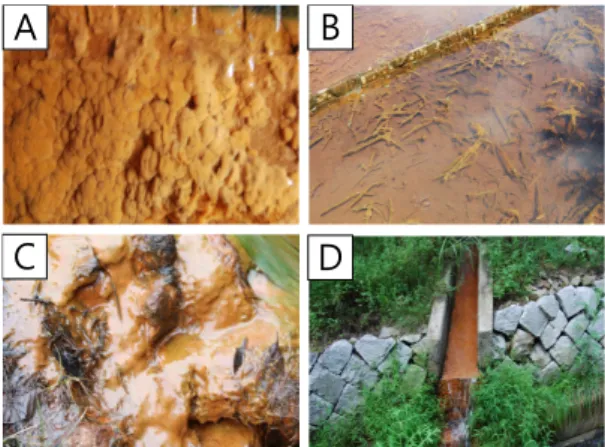 Fig. 6. HRPD patterns of precipitates collected from bottom of wetland and drainage.