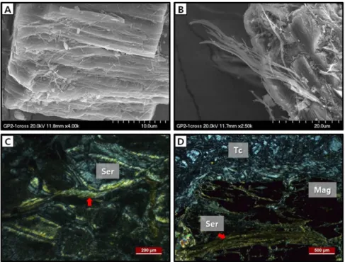 Fig. 10. SEM-EDS analyses and photomicrographs of serpentinites from two study areas: SEM images showing the fibrous minerals formed from layer-structure mineral (A, B); polarizing micrograph showing fibrous minerals and talc (C, D) Mag = magnetite, Ser = 