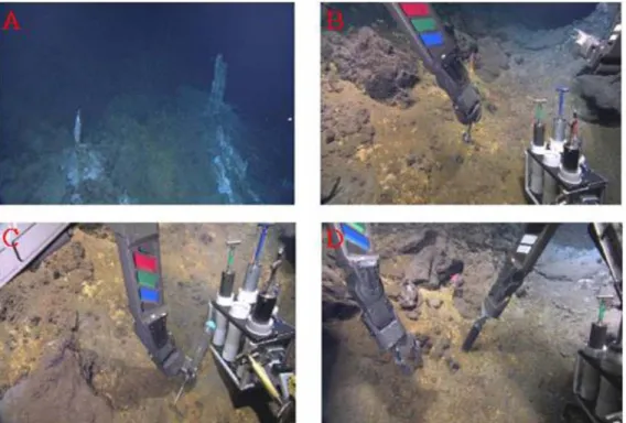 Fig. 5. Top view of hydrothermal vent in TA26 (A), RT110202-4 (B) and RT110202-5 (D) were used to take  sediment samples