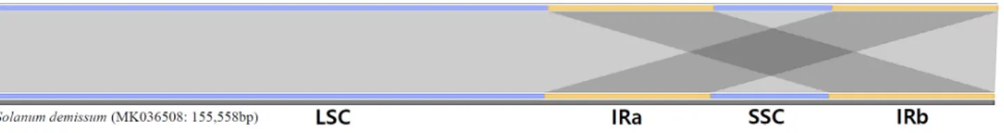 Fig.  1  Result  of  assembling  the  complete  chloroplast  genome  sequence  of  S.  demissum