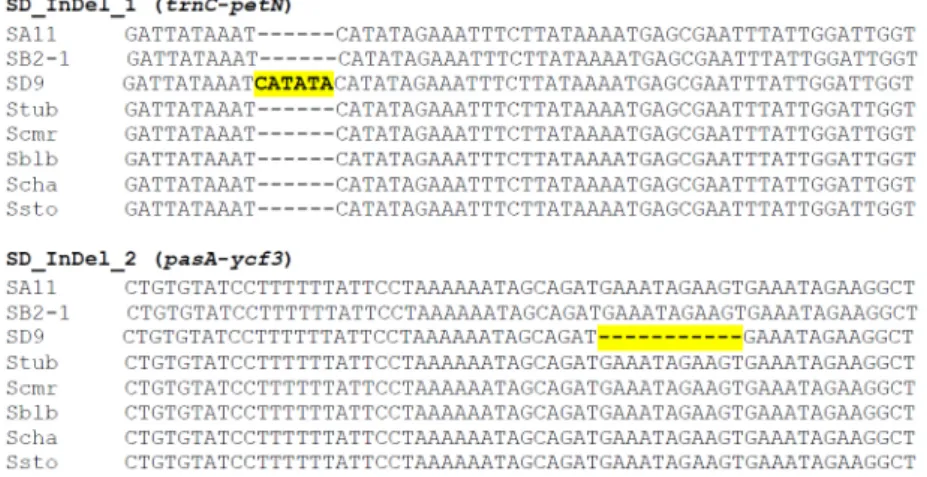 Fig. 4 Multiple alignment of the sequences on the intergenic regions containing InDels used to develop the PCR-based markers