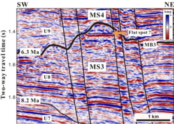 Fig. 8. Interpreted seismic section showing a flat-spot anomaly at MS3.