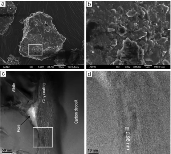 Fig. 1. Internal fabric of albite-rich dust particle. (a) Irregular albite particle (SEM image)