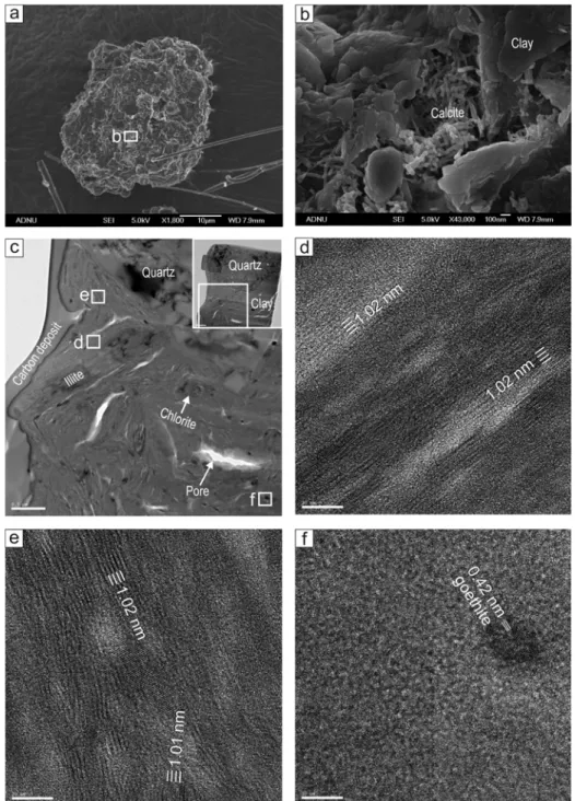Fig. 2. Internal fabric of a quartz-rich dust particle. (a) Quartz-rich particle (SEM image)
