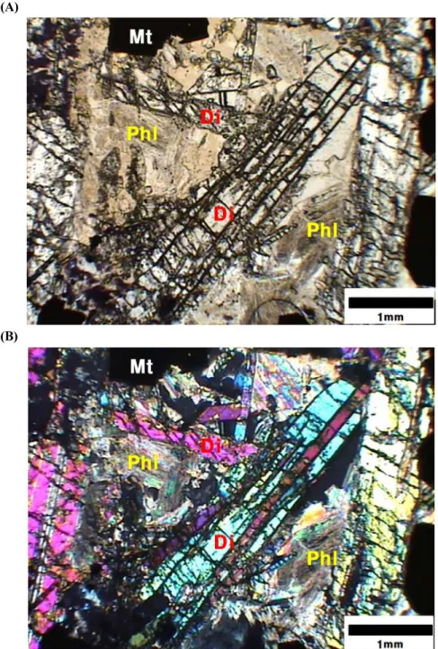 Fig. 5. Thin section images of phlogopite coexisted with diopside and magnetite at the WD-M sample
