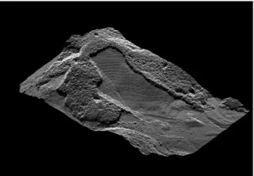 Fig. 7. GoCAD pointset of Gampo 46 Topography data exported from Photoscan.