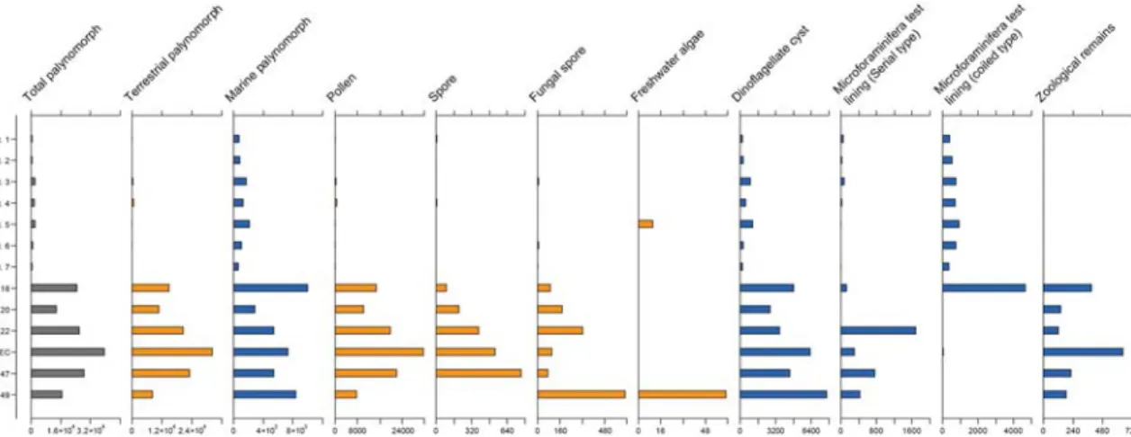 Fig. 6. Concentration of sedimentary organic matter. X-axis magnitude of each graph represents relative amount  depending on palynomorph concentration values